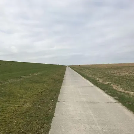 Dom wakacyjny Seagull Sea View Modern Retreat *